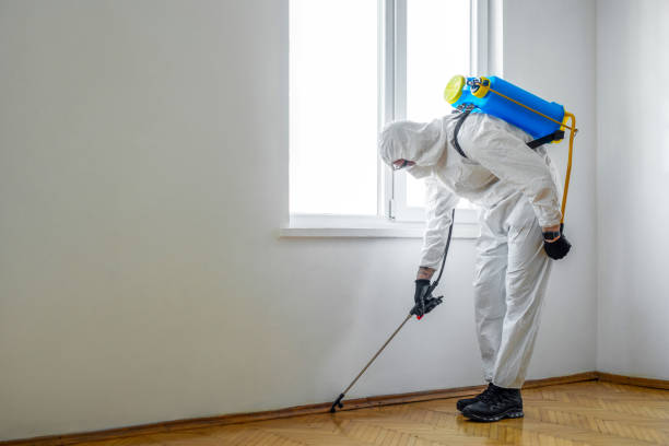 Best Local Pest Control Services  in Mangum, OK