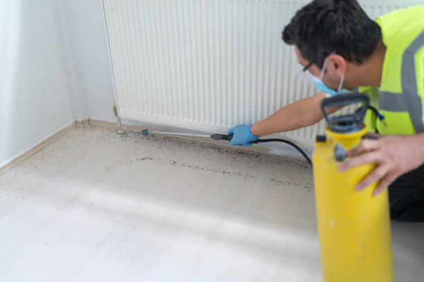 Best Commercial Pest Control Services  in Mangum, OK