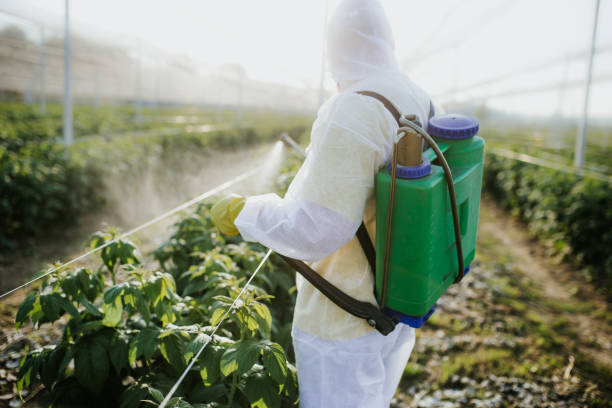 Professional Pest Control in Mangum, OK